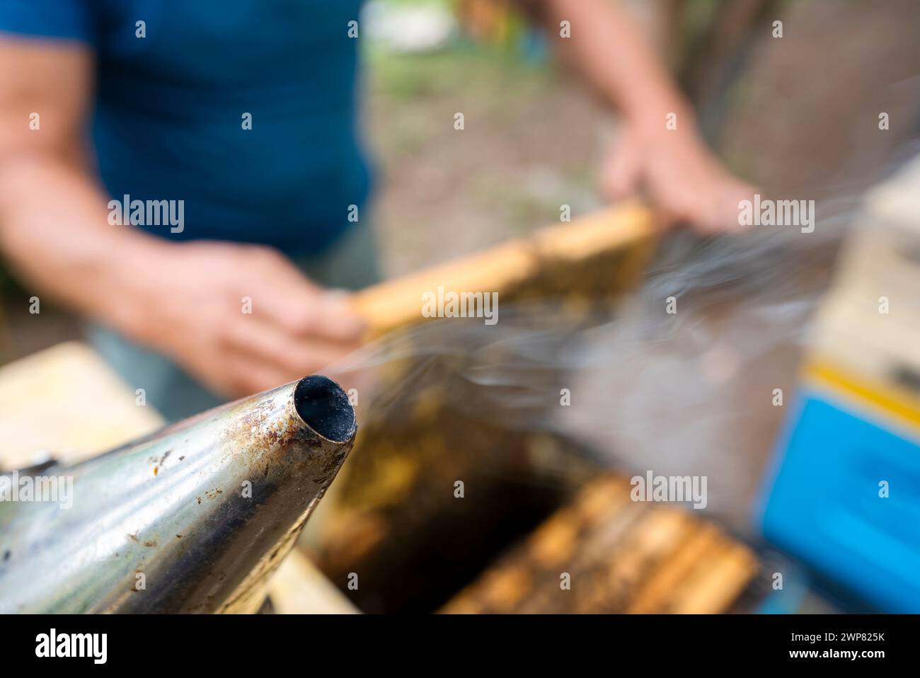 Fantastic beehive producing honey, nature, man and bee, sweet honey, honeycomb, nectar, beekeeping, Poland Stock Photo