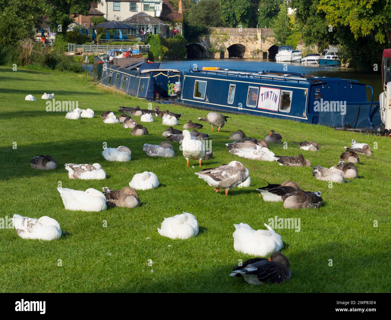 Town In England