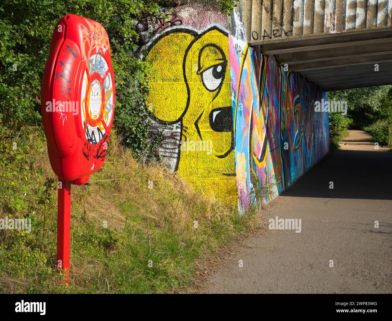 Truncated nose hires stock photography and images Alamy