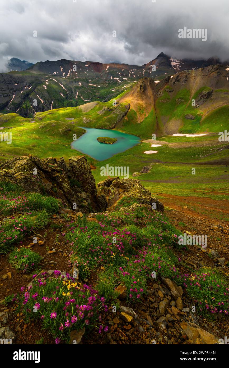 Wildflowers in san juan hi-res stock photography and images - Alamy