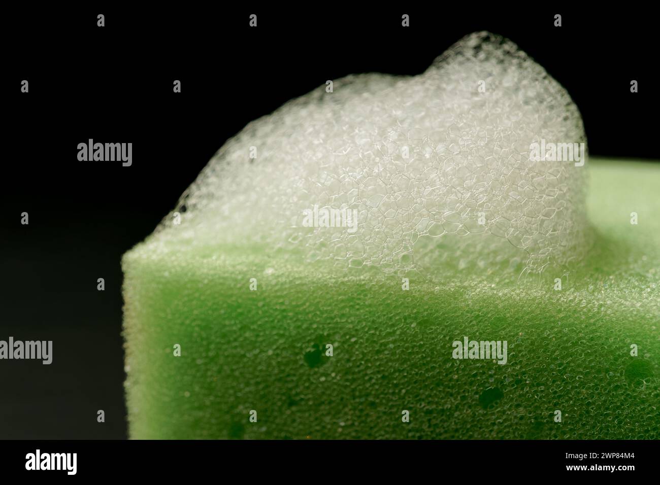 foam on a green sponge isolated on black background and copy space Stock Photo