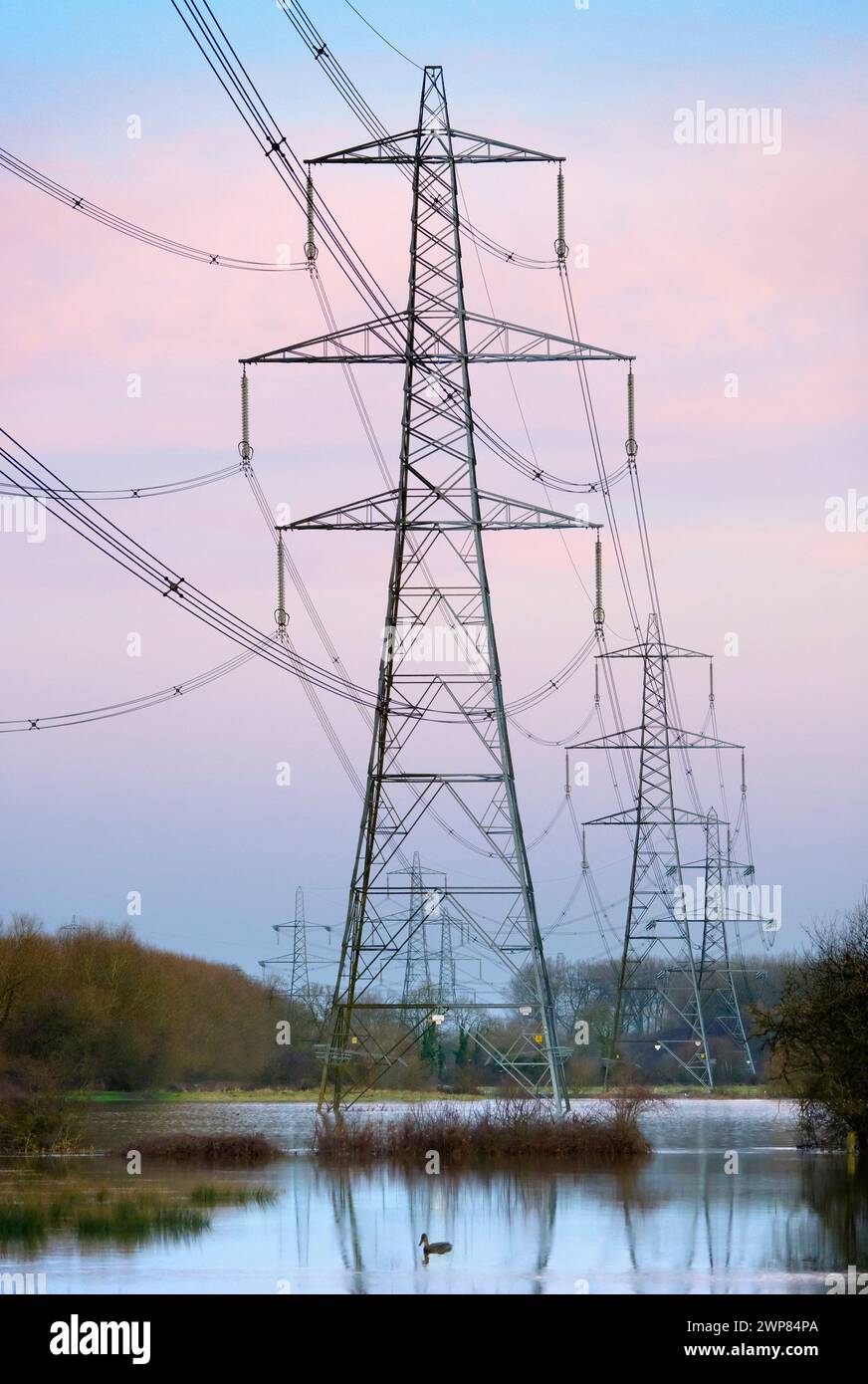 I have always been fascinated by our UK pylons - what in much of the ...