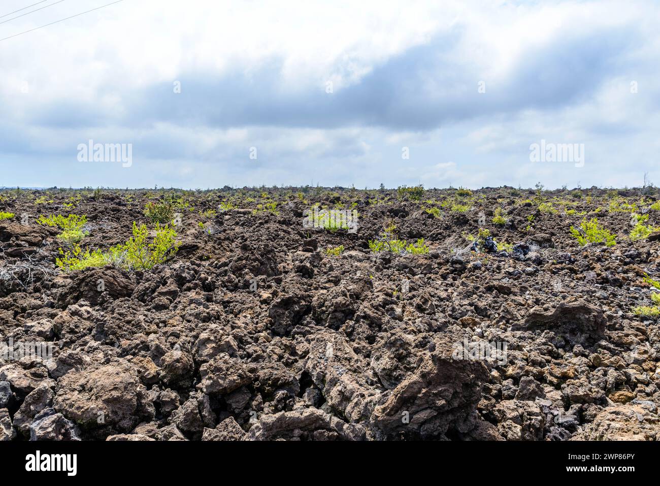 Igneous rock hawaii hi-res stock photography and images - Alamy