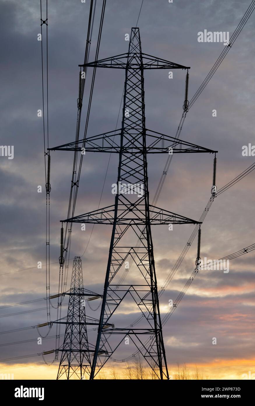 I have always been fascinated by our UK pylons - what in much of the world would be called transmission towers. Marching across the landscape, they ha Stock Photo