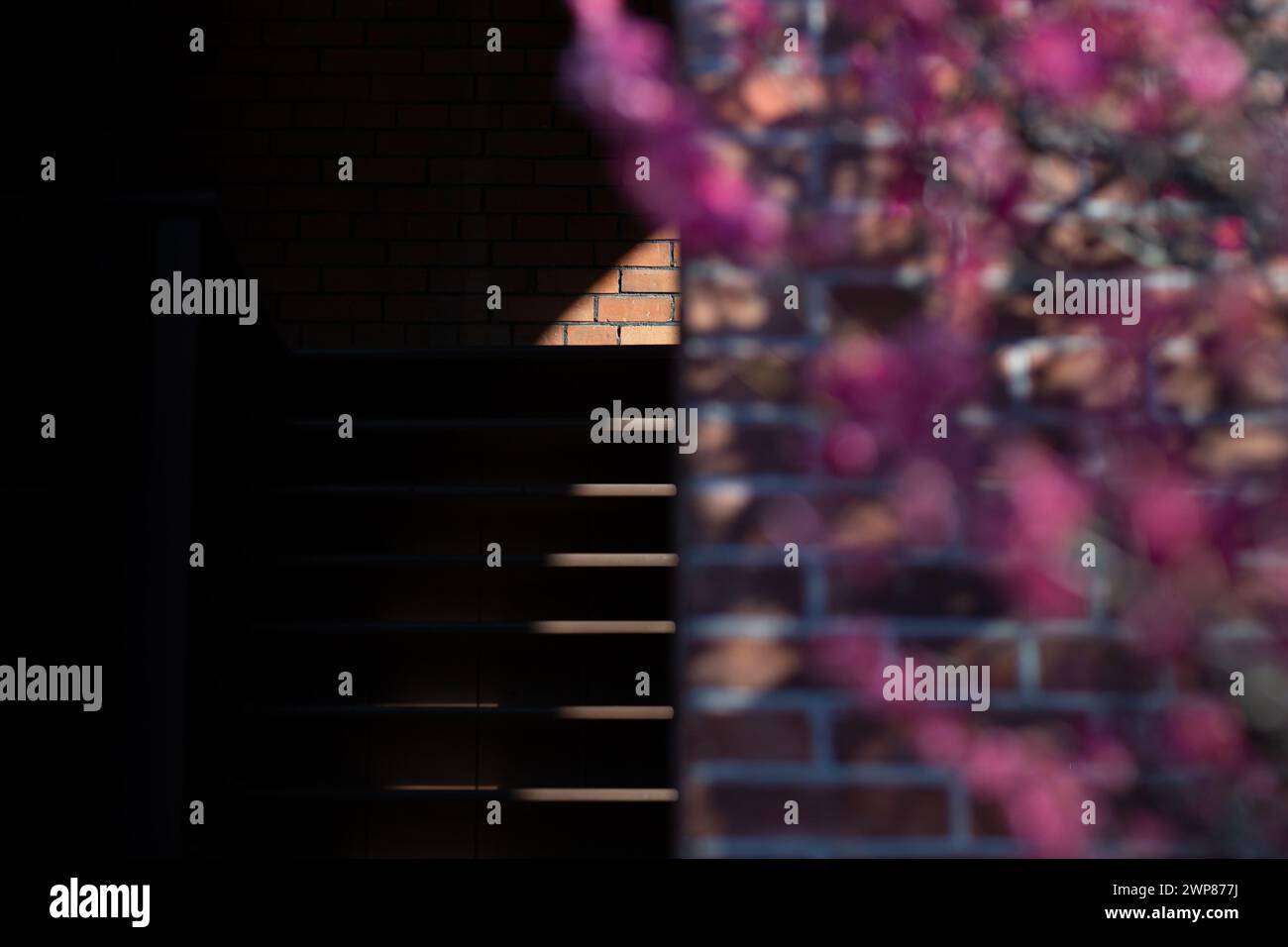 Untitled Stock Photo