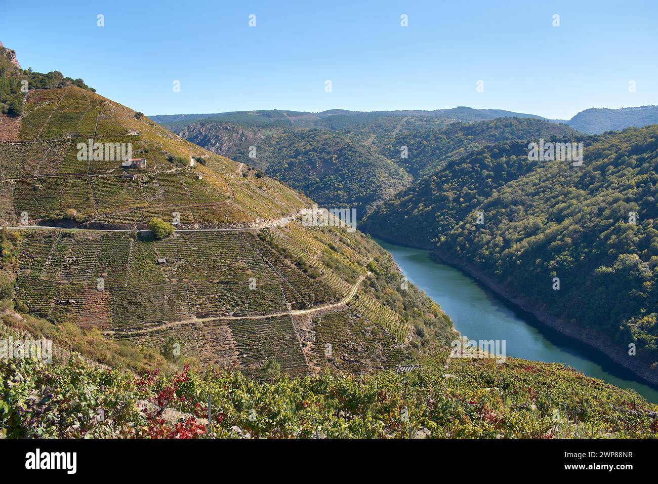 The Viewpoint of the Sil Canyons in Sober, Lugo, Galicia, Spain. Stock Photo