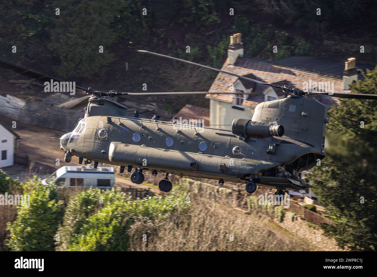 Chinook in the Wye Valley Stock Photo
