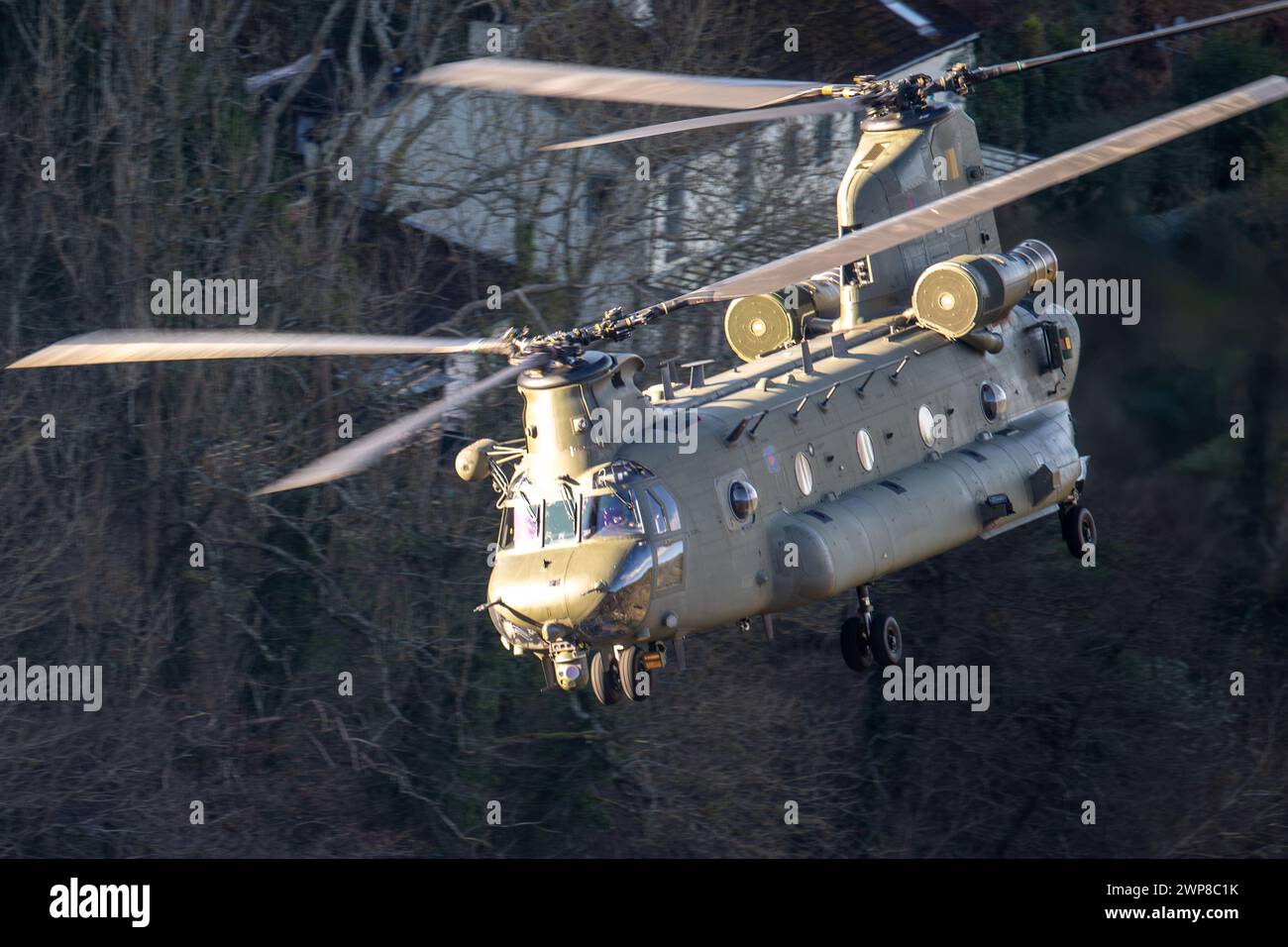 Chinook in the Wye Valley Stock Photo