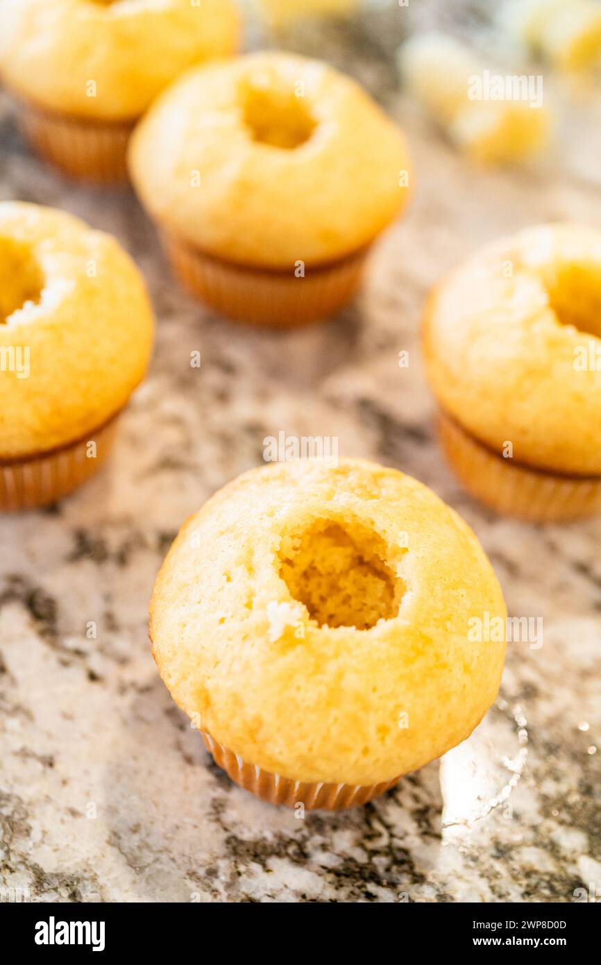 Filling Vanilla, Chocolate Cupcakes with Lemon, Raspberry Stock Photo