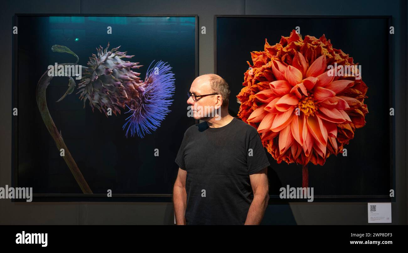 Celebrating 2024 london hires stock photography and images Alamy