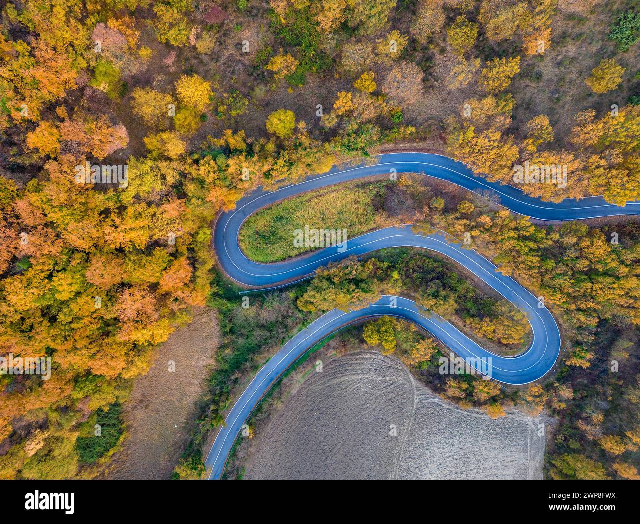 Aerial view autumn pathway trees hi-res stock photography and images ...