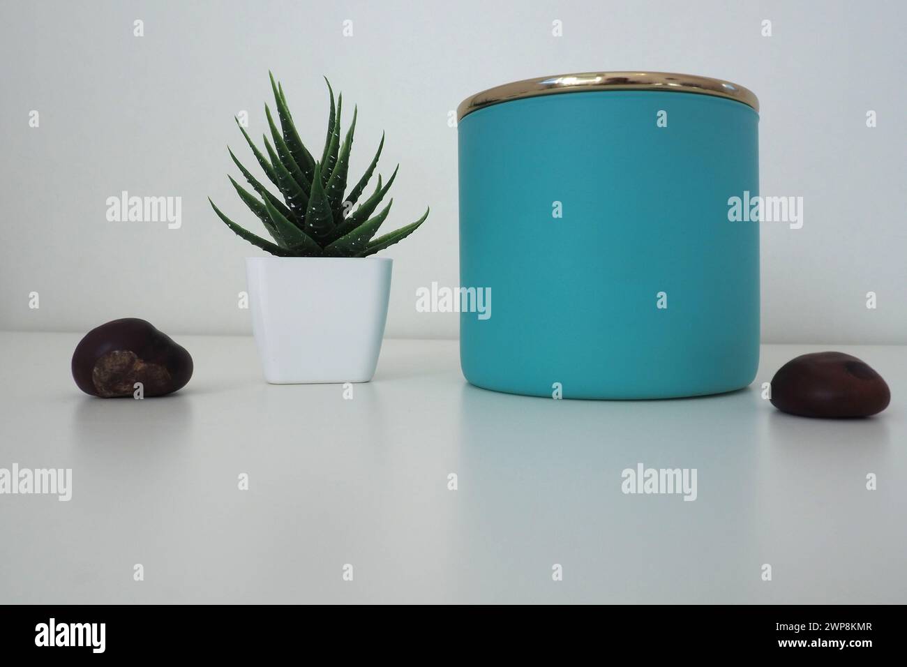 A composition of a jar of bath salts, an artificial indoor flower of aloe or Kalanchoe, and several chestnut fruits. Still life of decor items for a Stock Photo
