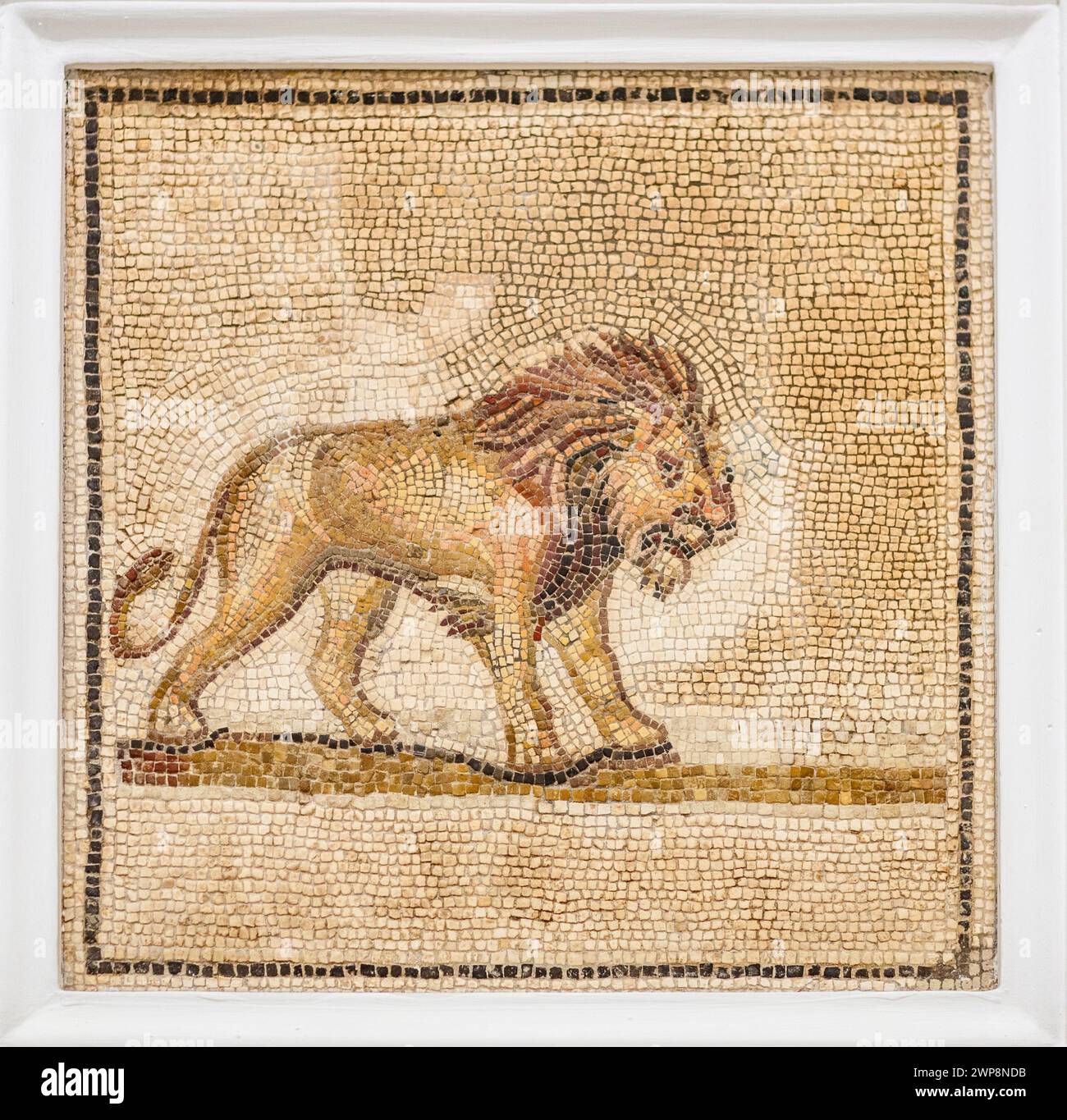 Gold Persian Lion and Sun over White Leather