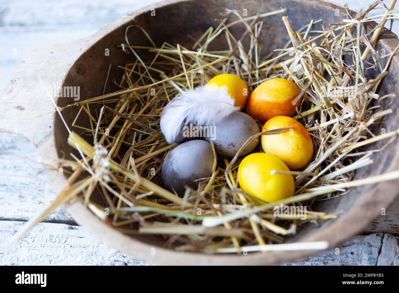 3 March 2024: Rustic Easter nest with dyed hens eggs and straw *** Rustikales Osternest mit gefärbten Hühnereiern und Stroh Stock Photo