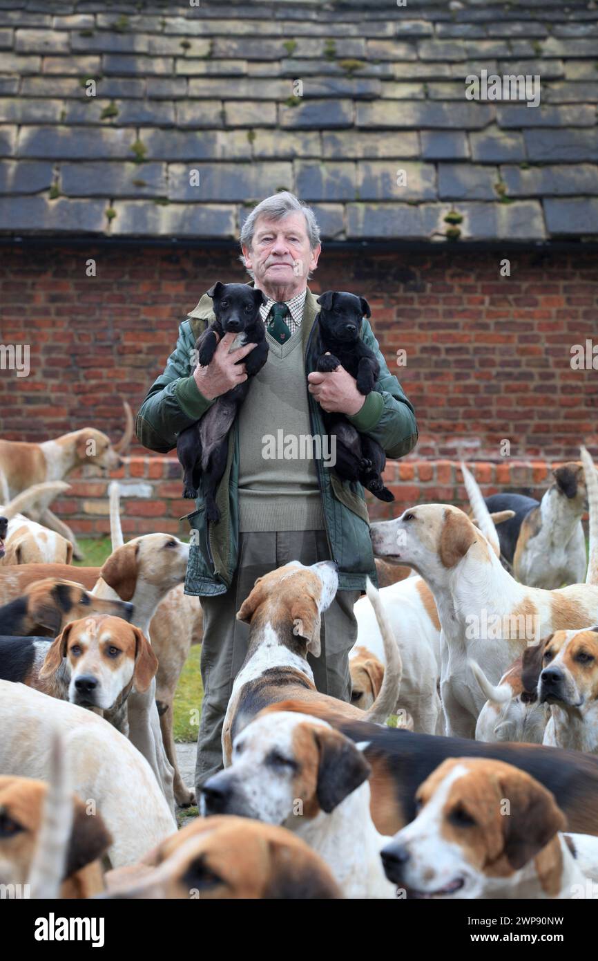 Kennels dogs hi res stock photography and images Page 18 Alamy