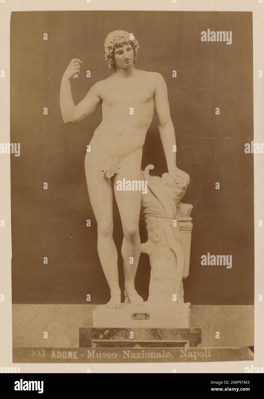 Adonis museum hi-res stock photography and images - Alamy