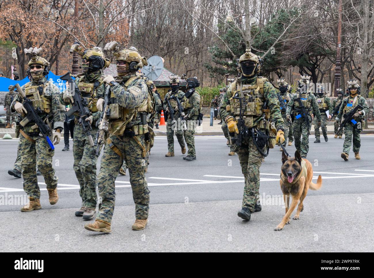 South Korean special warfare soldiers participate in a joint counter-terrorism drill on the sidelines of the annual Freedom Shield joint military exercise between South Korea and the United States, at the KBS headquarters. South Korea's top military officer on March 6 called for firmly punishing North Korea in the event of terror attacks so that they pay a 'harsh price,' his office said.Joint Chiefs of Staff Chairman Adm. Kim Myung-soo made the remark as he inspected joint counter-terrorism drills between the Army, police, firefighters and other civilian personnel in Seoul in connection with Stock Photo