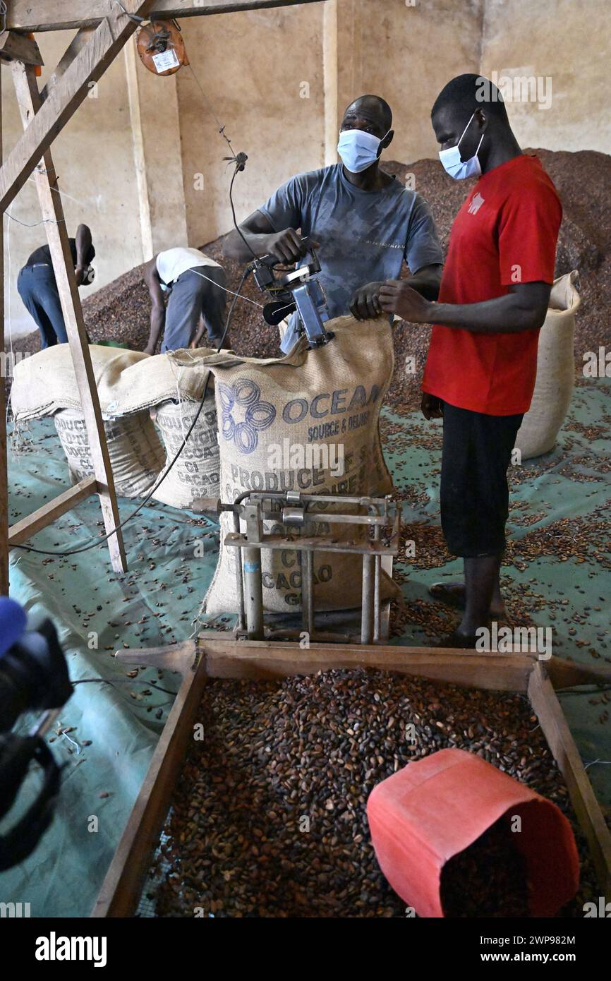 San Pedro, Ivory Coast. 06th Mar, 2024. Workers pictured in action at the ECAM cocoa cooperative in Meagui, during a royal working visit to Ivory Coast, in San Pedro, Wednesday 06 March 2024. The Queen is visiting Ivory Coast in her capacity as ambassador for the Sustainable Development Goals of the United Nations (UN). The aim of the mission is to exchange experiences in the field of sustainable development with Ivorian partners BELGA PHOTO ERIC LALMAND Credit: Belga News Agency/Alamy Live News Stock Photo