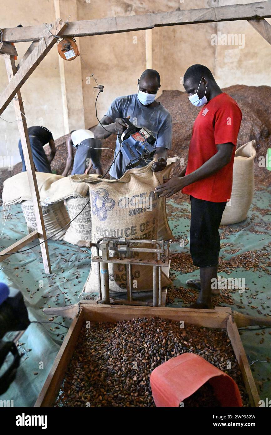 San Pedro, Ivory Coast. 06th Mar, 2024. Workers pictured in action at the ECAM cocoa cooperative in Meagui, during a royal working visit to Ivory Coast, in San Pedro, Wednesday 06 March 2024. The Queen is visiting Ivory Coast in her capacity as ambassador for the Sustainable Development Goals of the United Nations (UN). The aim of the mission is to exchange experiences in the field of sustainable development with Ivorian partners BELGA PHOTO ERIC LALMAND Credit: Belga News Agency/Alamy Live News Stock Photo