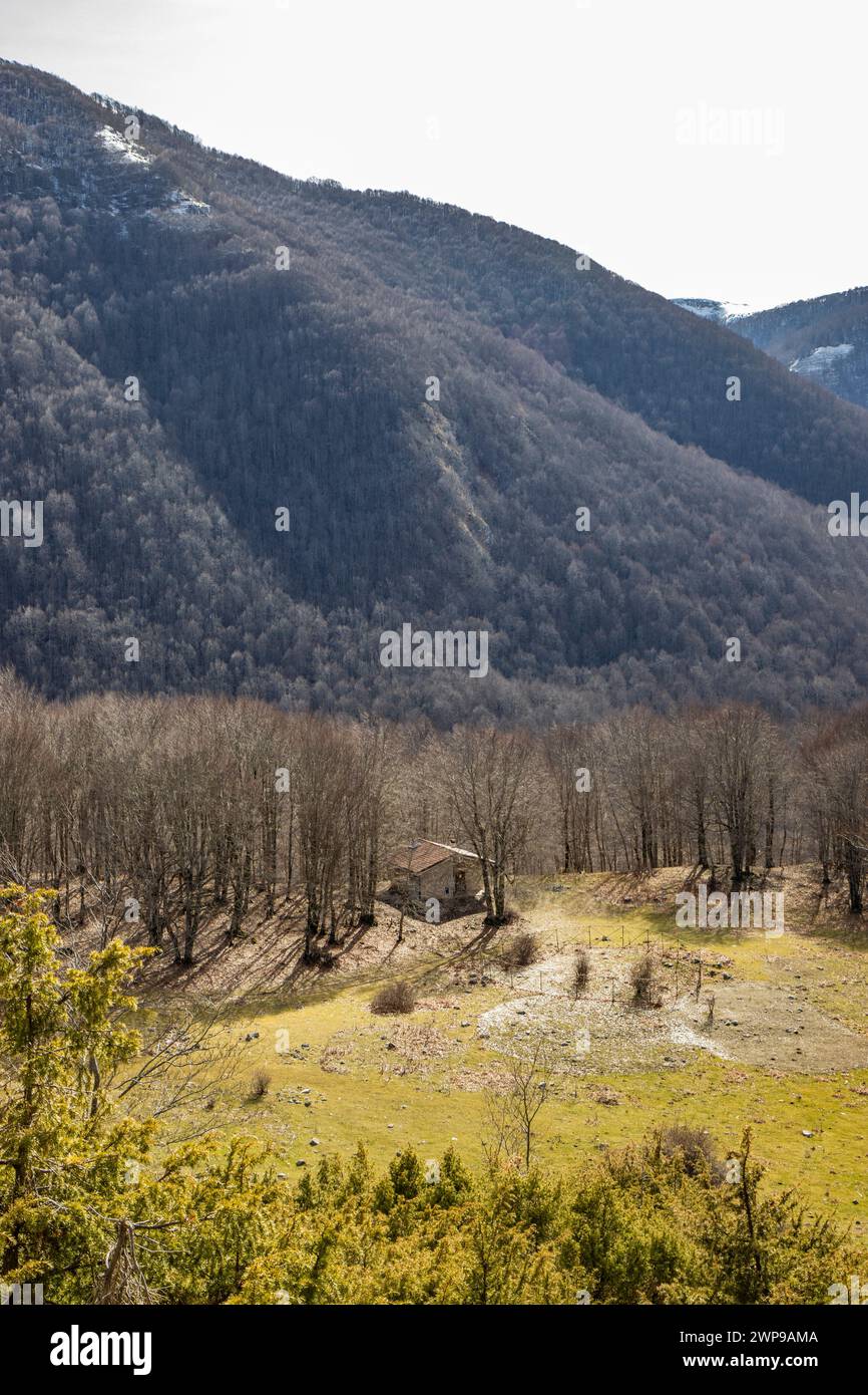 A beech forest, in Campo Felice, Italy. A small refuge for hikers in the mountains of the Abruzzo Apennines. The bare trees in winter, the clear blue Stock Photo