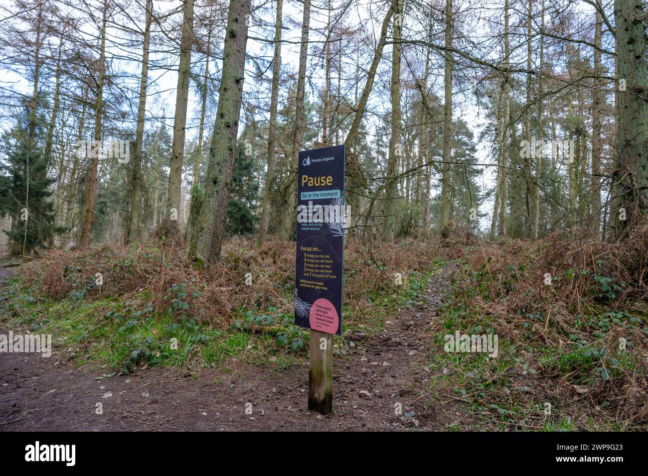 Motivational and guidance signs are placed in a Forestry England woodland area to help visitors get the most out of their visit and improve their mental health. Stock Photo