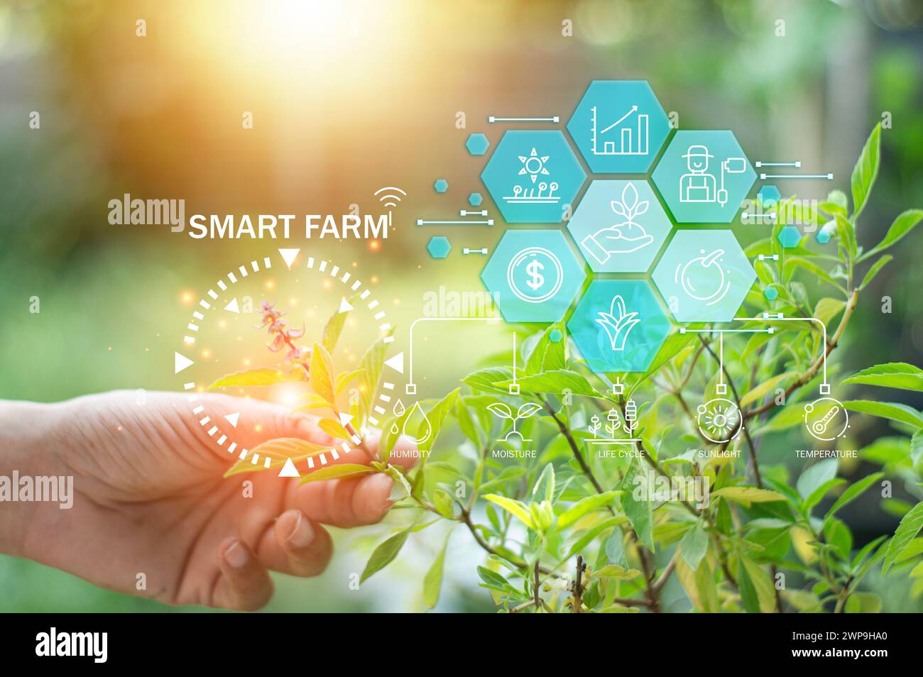 The concept of using AI and smart farming Stock Photo - Alamy