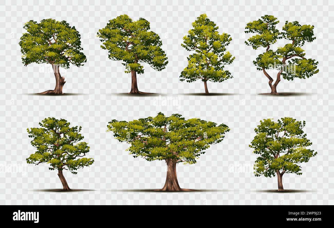 Autumn park large green Stock Vector Images Alamy