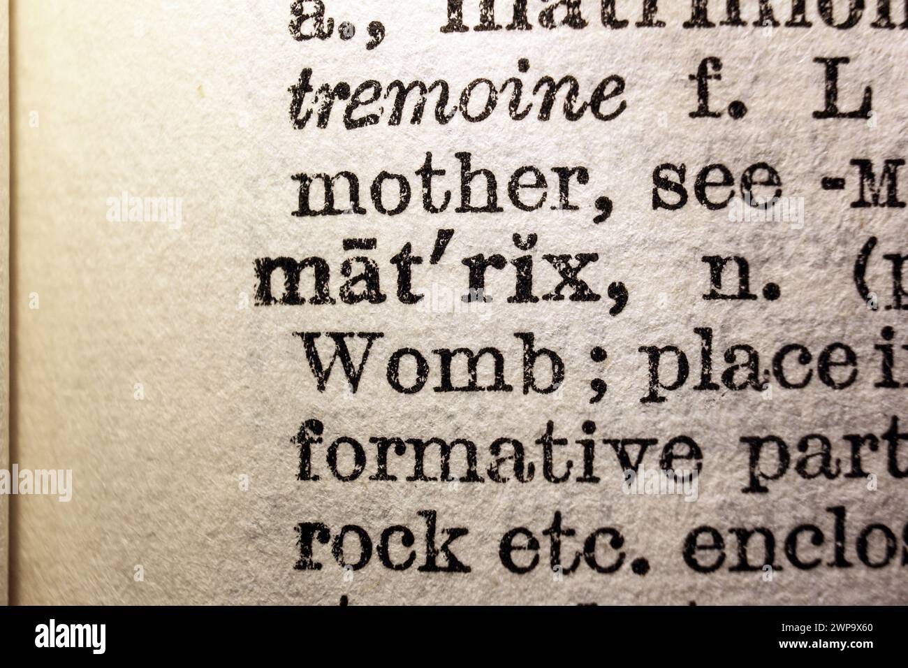 Word matrix on dictionary page, macro close-up Stock Photo