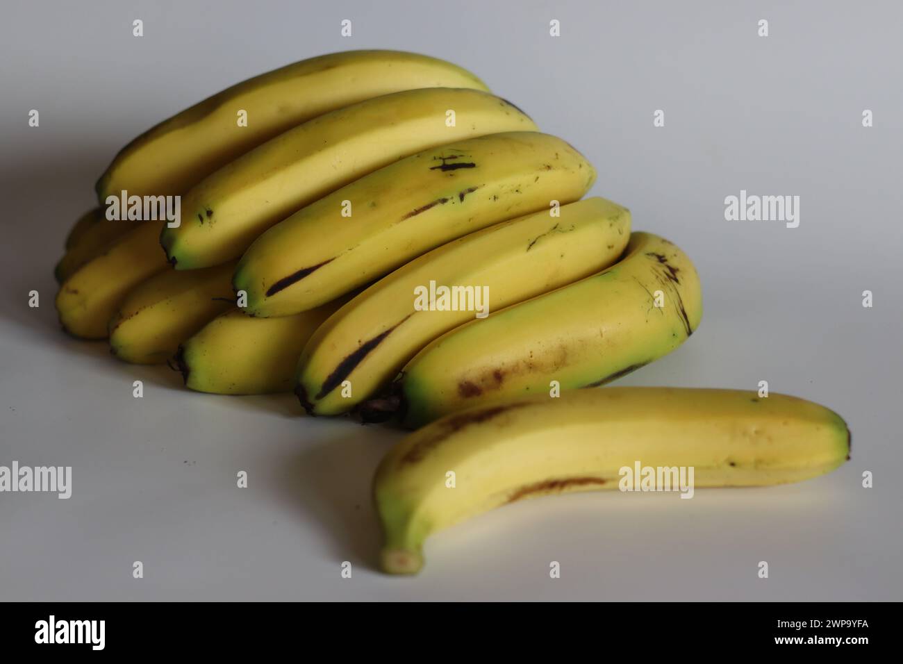 Robusta banana. Vibrant cluster of a dozen Robusta bananas, ripe and