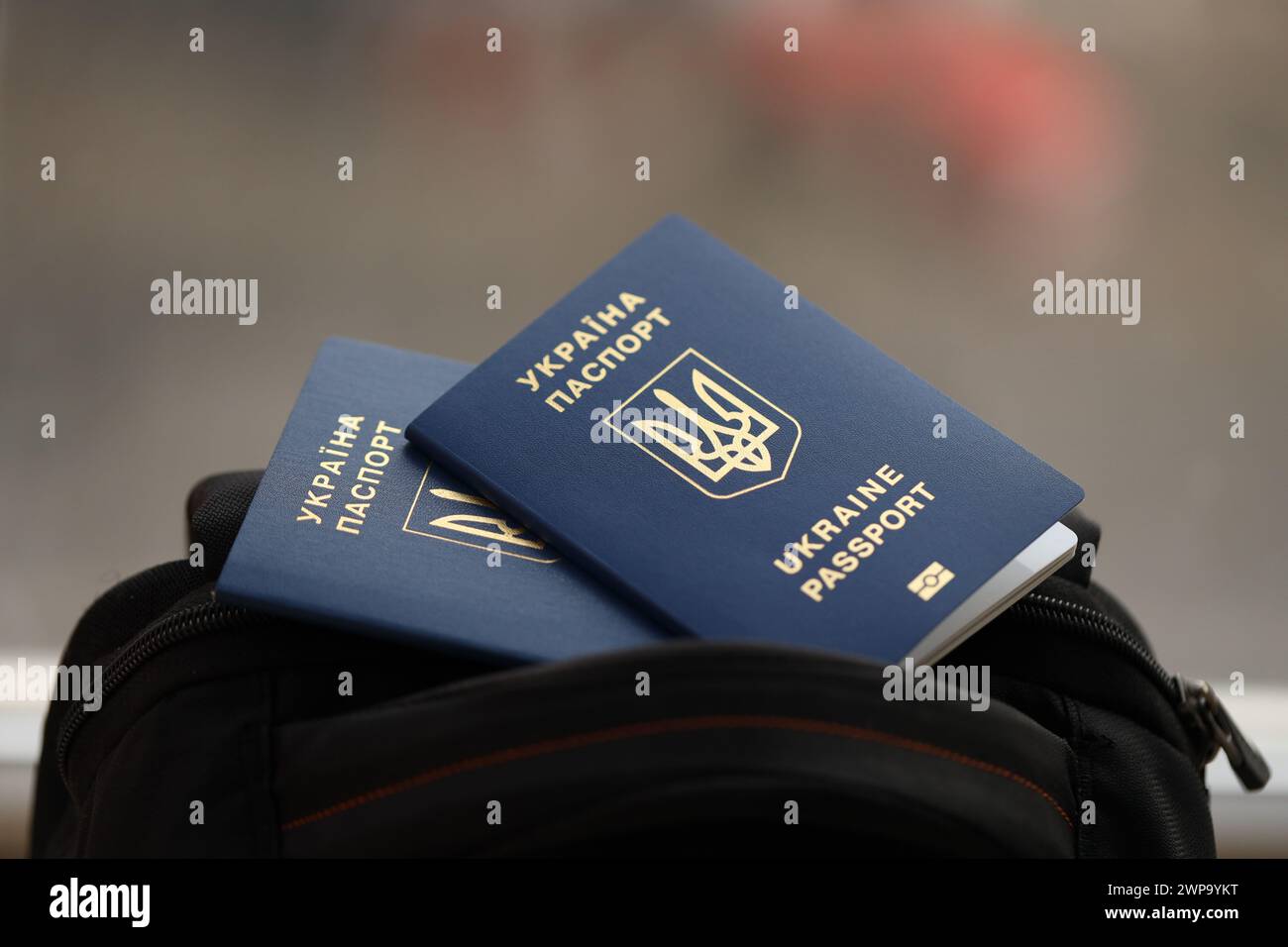 Two ukrainian biometrical passports on black touristic backpack close up Stock Photo