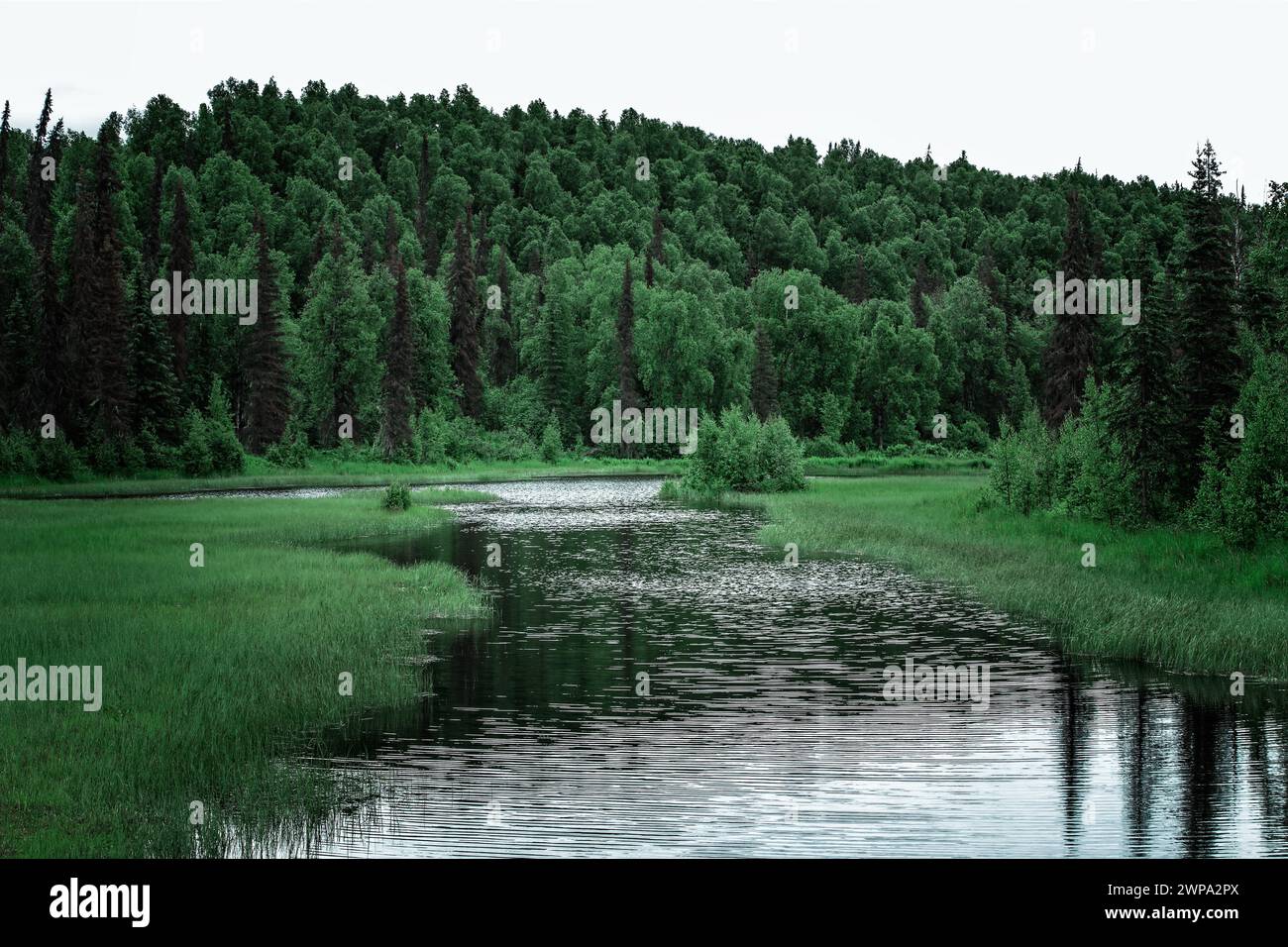 Tranquil creek hi-res stock photography and images - Alamy