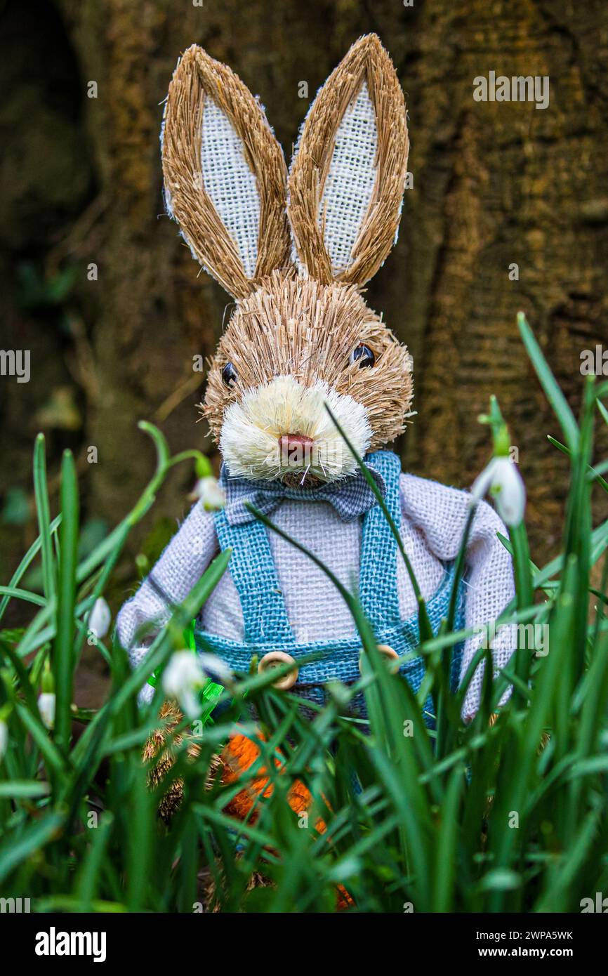 Cute toy bunny rabbit characters in woodland settings amongst snowdrops ...