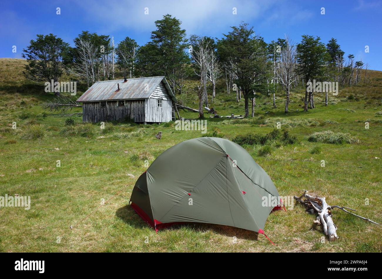 Tent on green grass by old wooden house and small forest on hill, Summer vacation, Camping at Refugio El Caulle in Puyehue National Park, Los Lagos Re Stock Photo