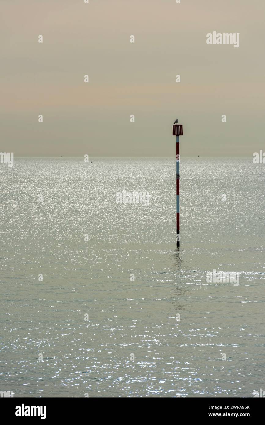 Seagull sitting on a pole off the coast near Ramsgate in Kent, England Stock Photo