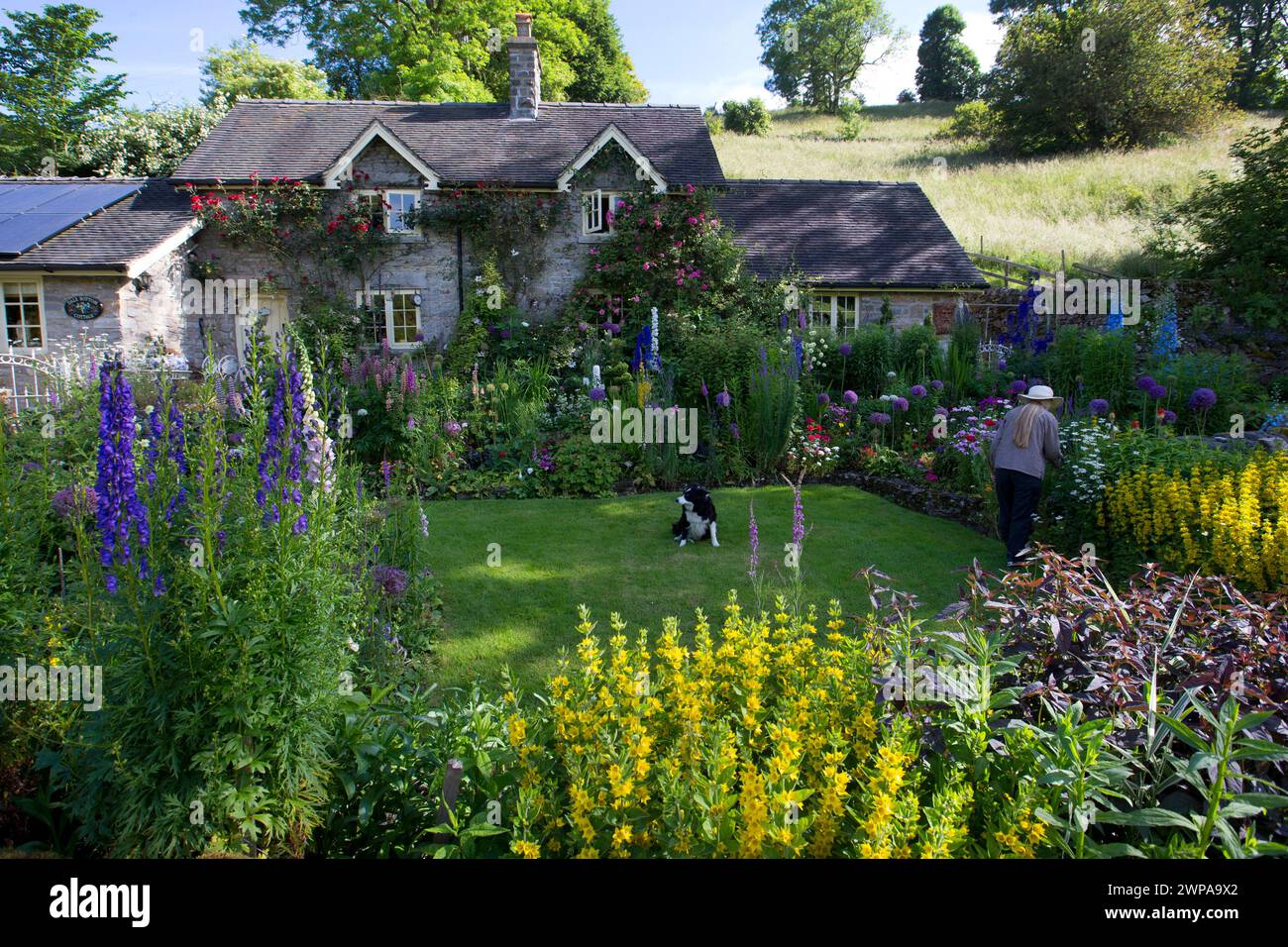 24/06/14 Could this be Britain's most beautiful cottage garden? Dale Bottom Cottage in Hopedale