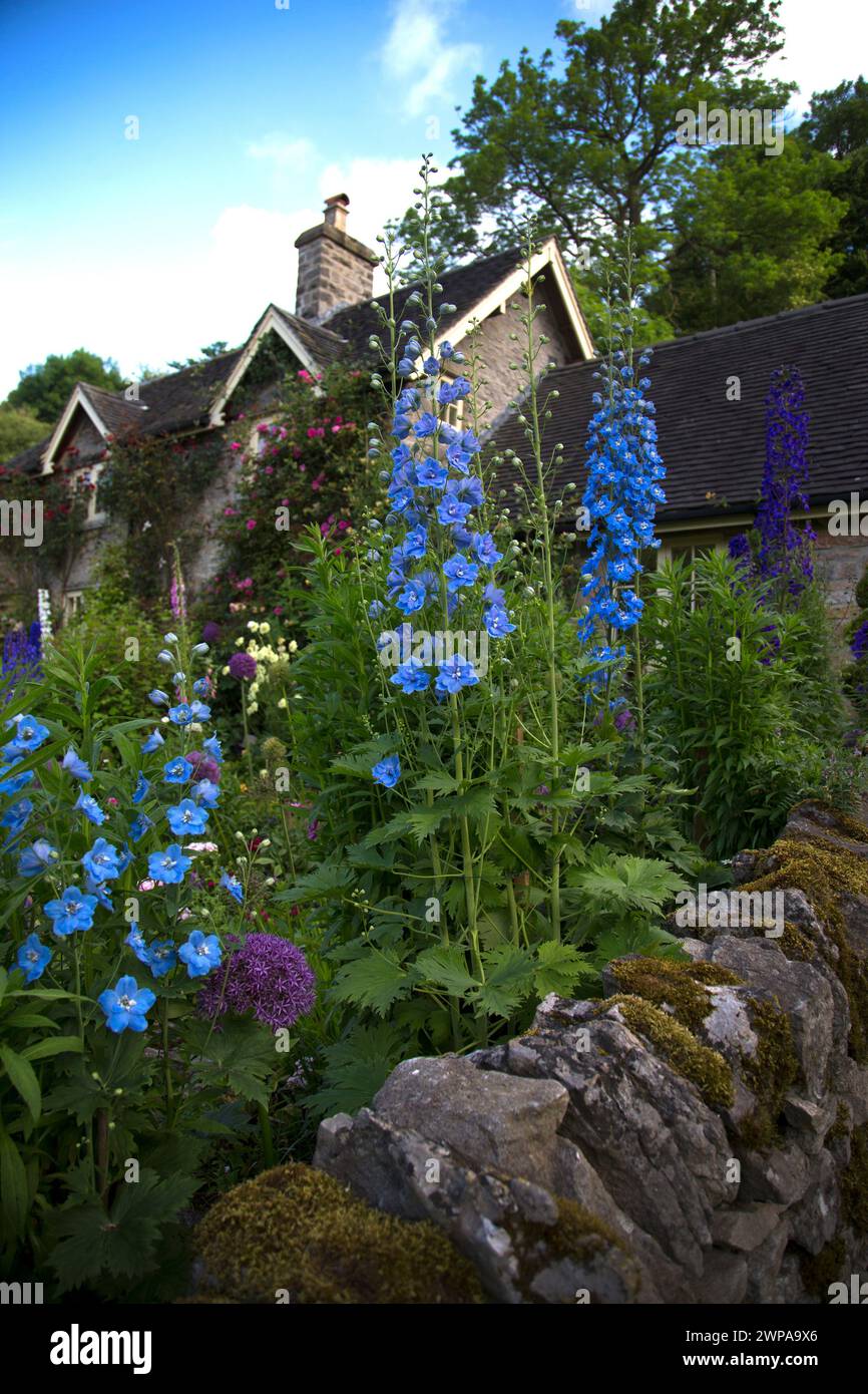 24/06/14 Could this be Britain's most beautiful cottage garden? Dale Bottom Cottage in Hopedale