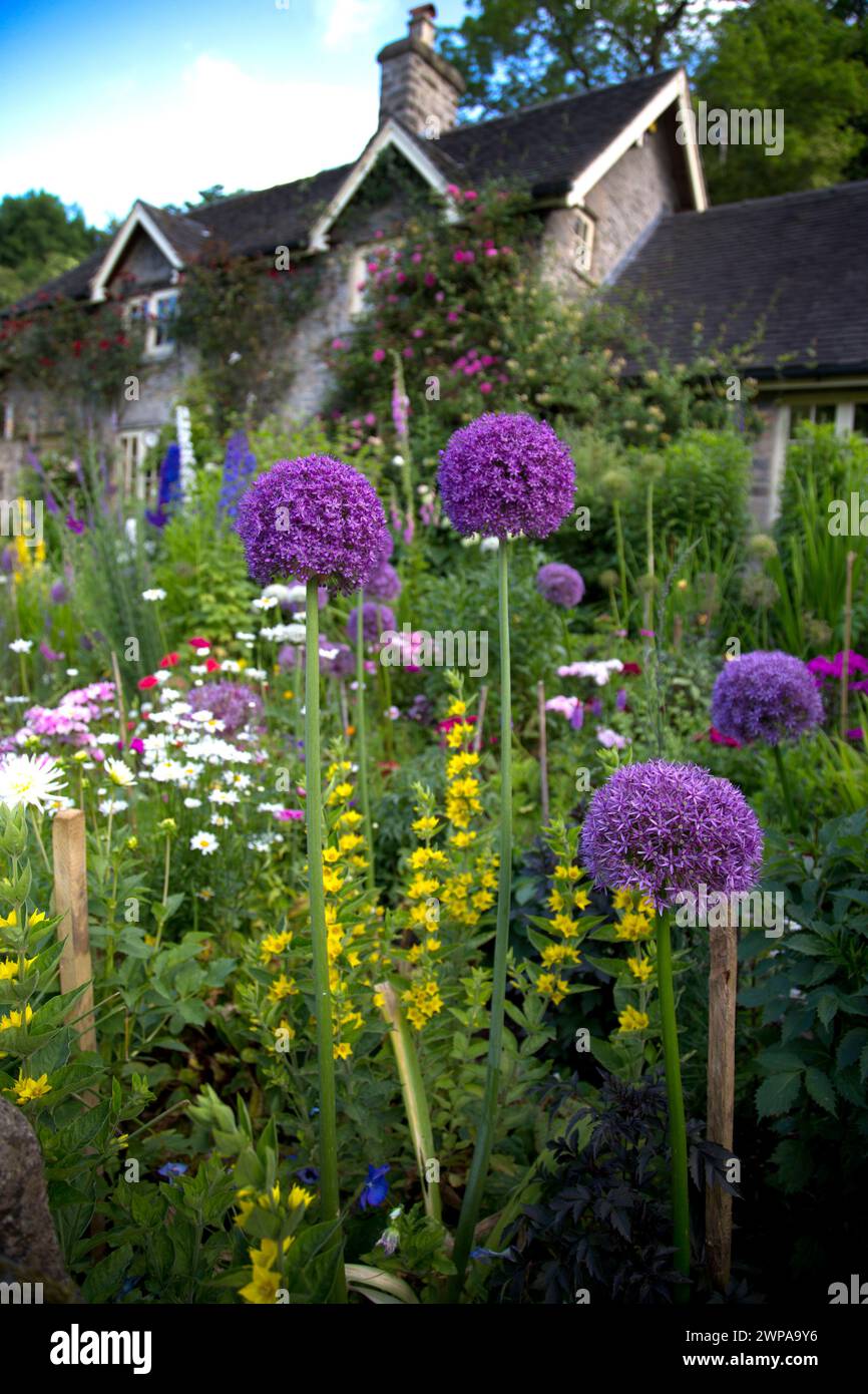 24/06/14 Could this be Britain's most beautiful cottage garden? Dale Bottom Cottage in Hopedale