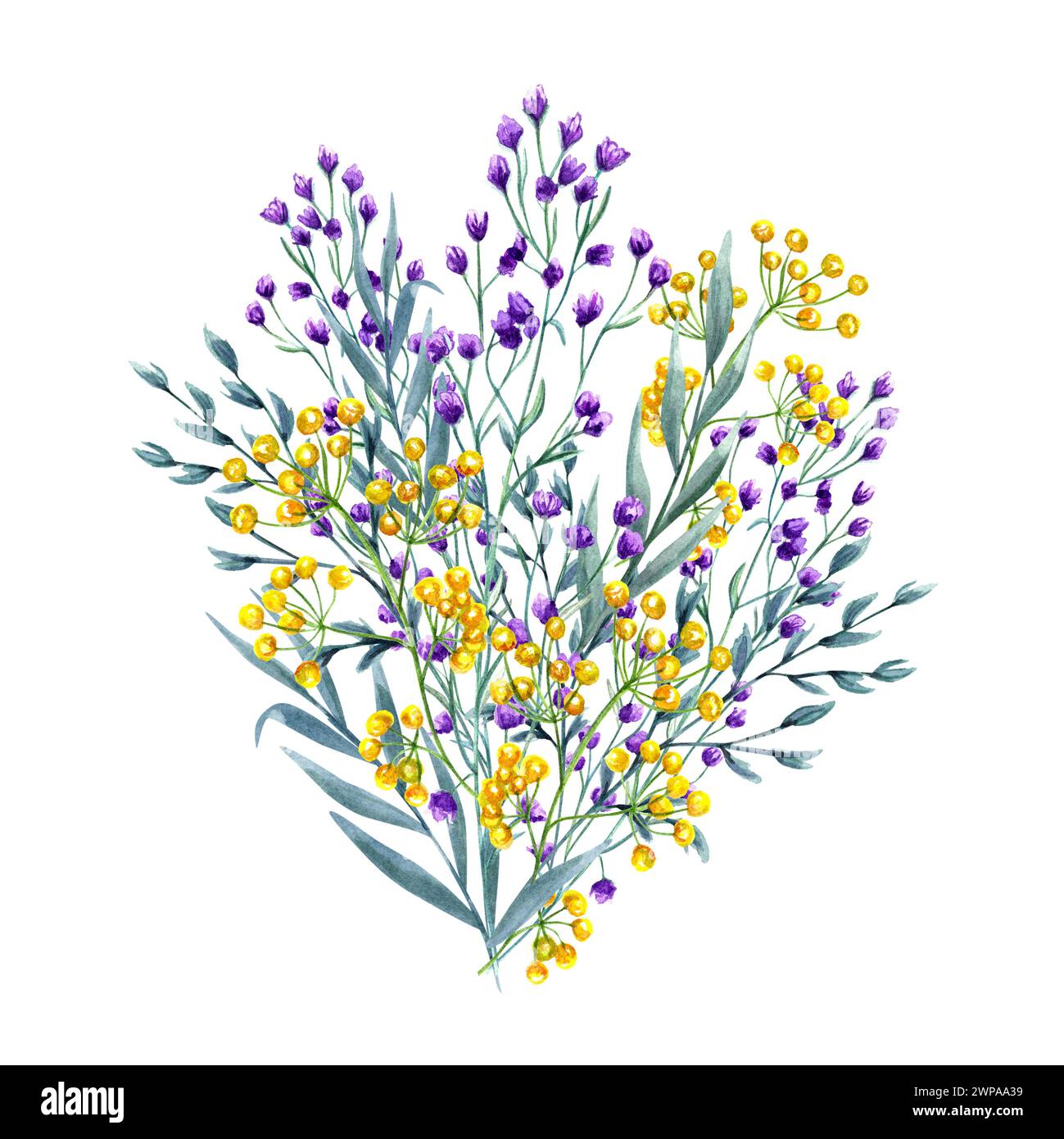 Bouquet of yellow, purple flowers and spikelet. Spring, summer green herbs. Meadow plants. Blooming wildflowers. Watercolor illustration for wedding Stock Photo