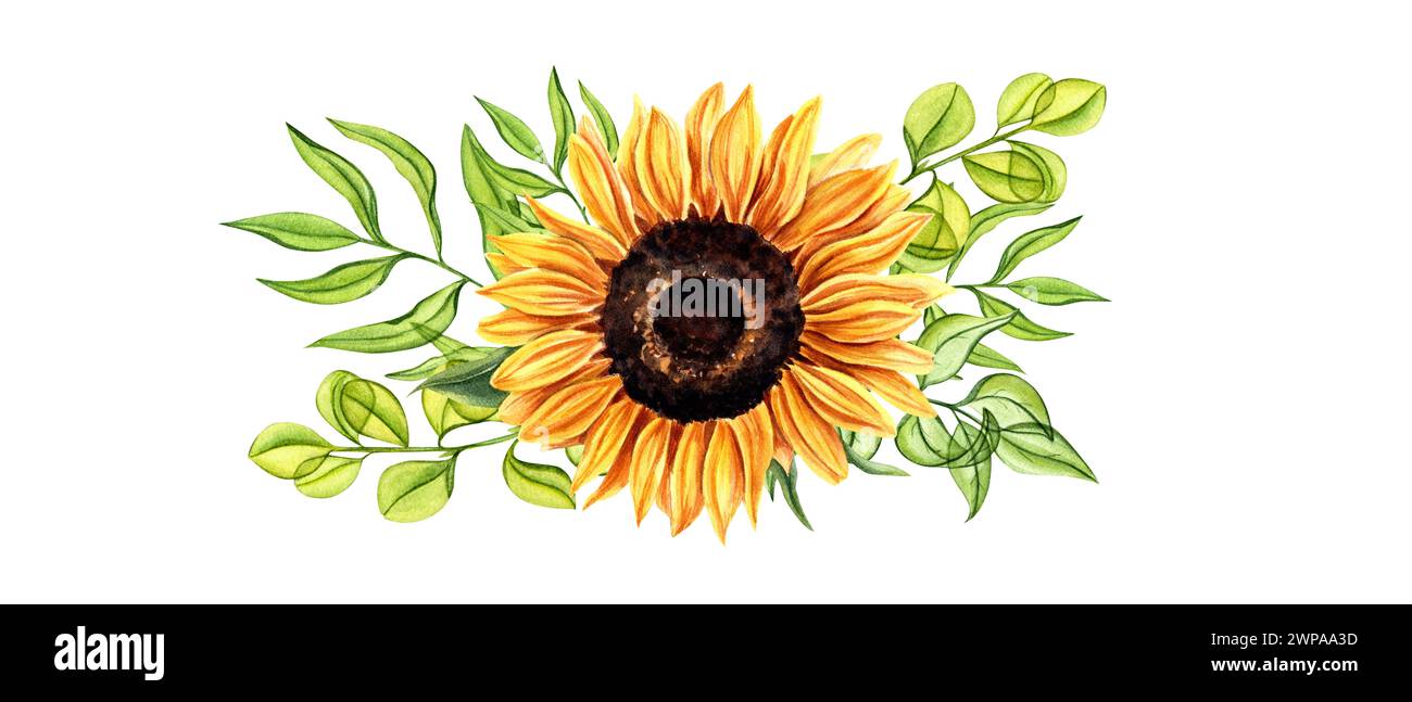 Sunflower heads, plants. Floral composition. Orange flowers with delicate herbs. Summer sun flower, leaf, petal. Field wildflowers. Stock Photo