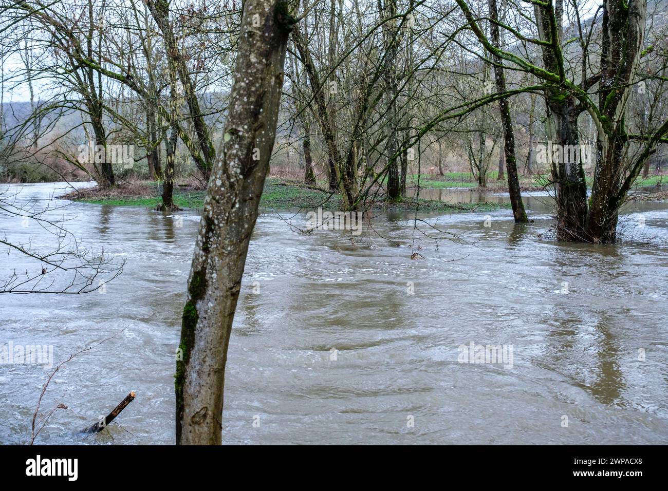 Apres les températures les plus elevees pour un mois de janvier et les chutes de pluies abondantes le Viroin est encore sorti de son lit  | Between Ni Stock Photo