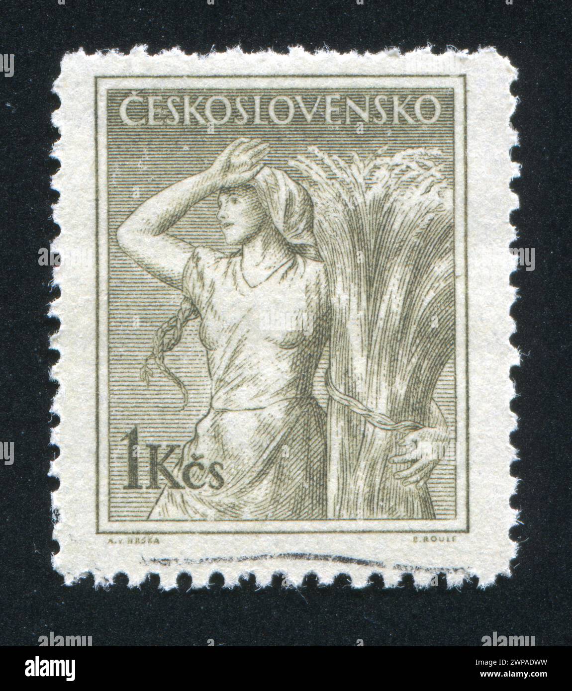 CZECHOSLOVAKIA - CIRCA 1954: stamp printed by Czechoslovakia, shows Farm woman, circa 1954 Stock Photo
