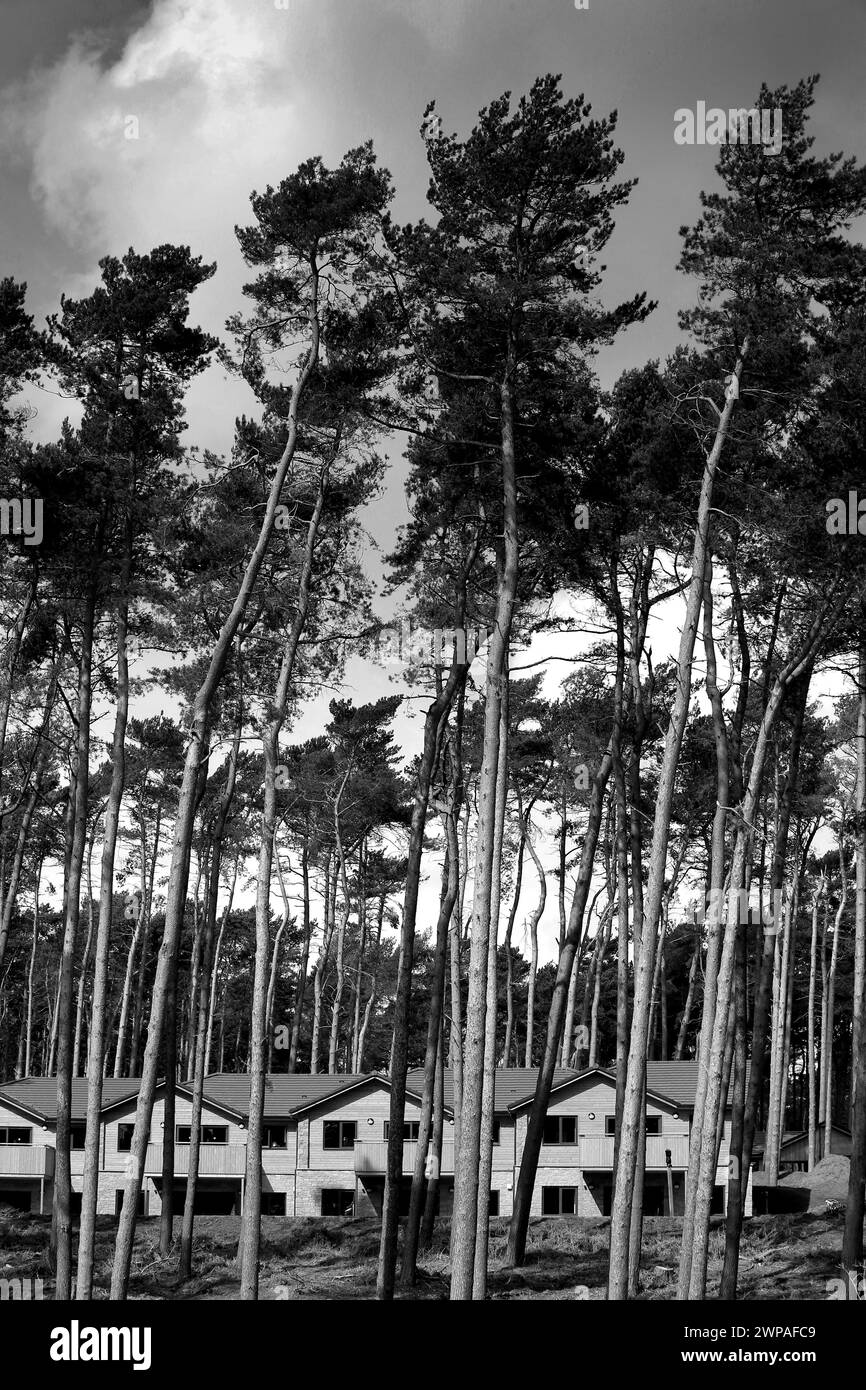 23/04/14 Center Parcs Woburn forest prepares for opening Stock Photo Alamy