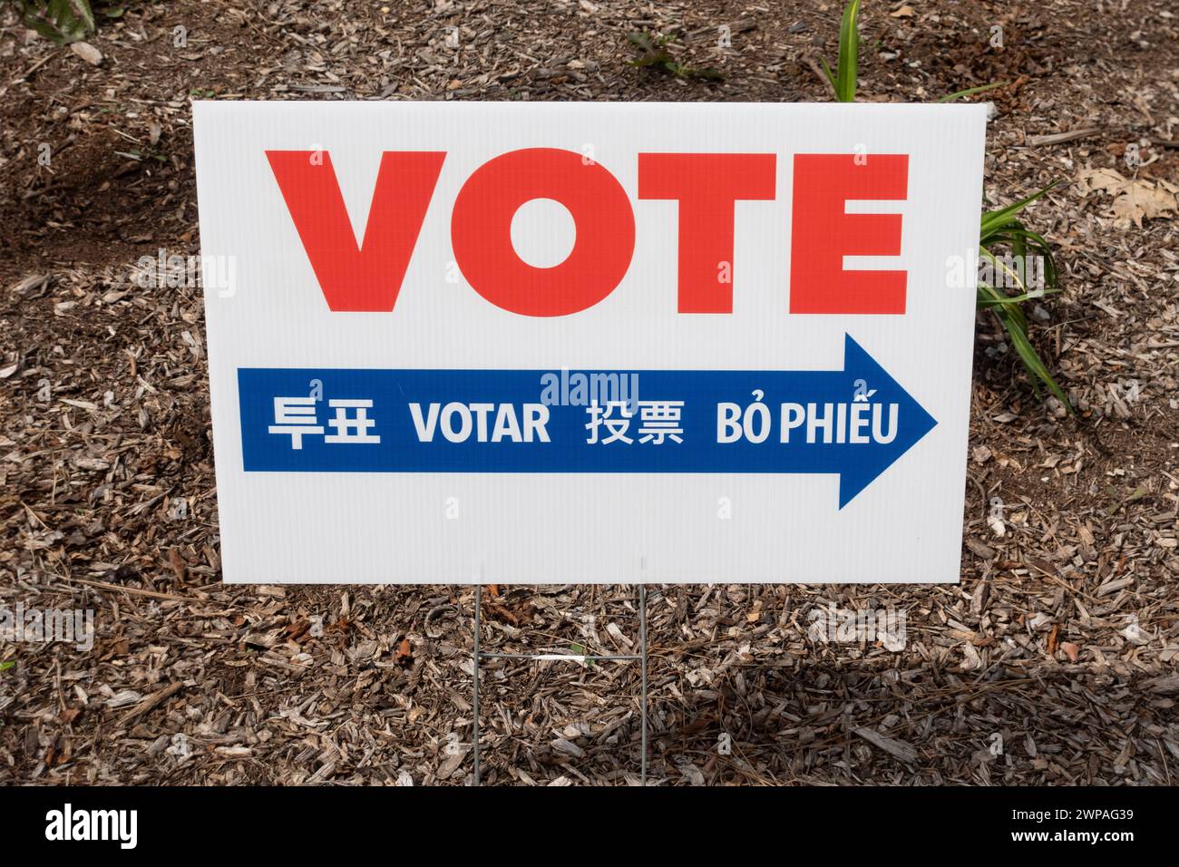 A multilingual voting sign with arrow in red white and blue Stock Photo ...