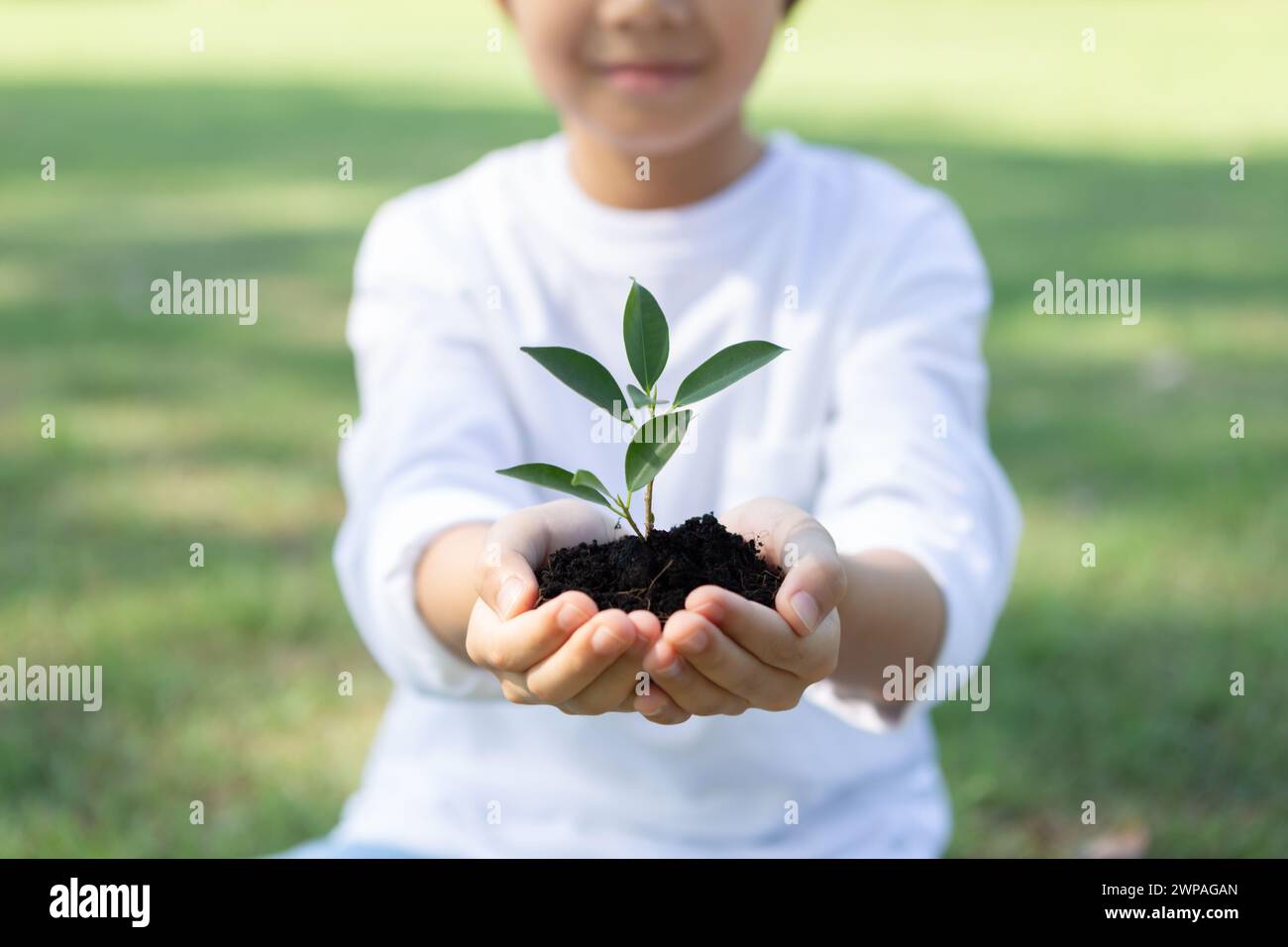 Promoting eco awareness on reforestation and long-term environmental ...