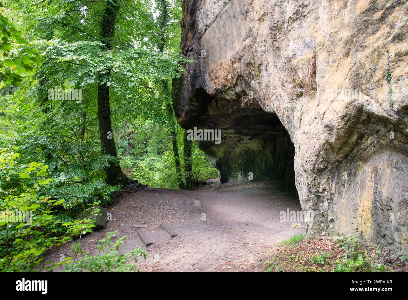 Huel Lee or Hohllay on the Mullerthal trail in Luxembourg, open cave with view to the forest, sandstone rock formation Stock Photo
