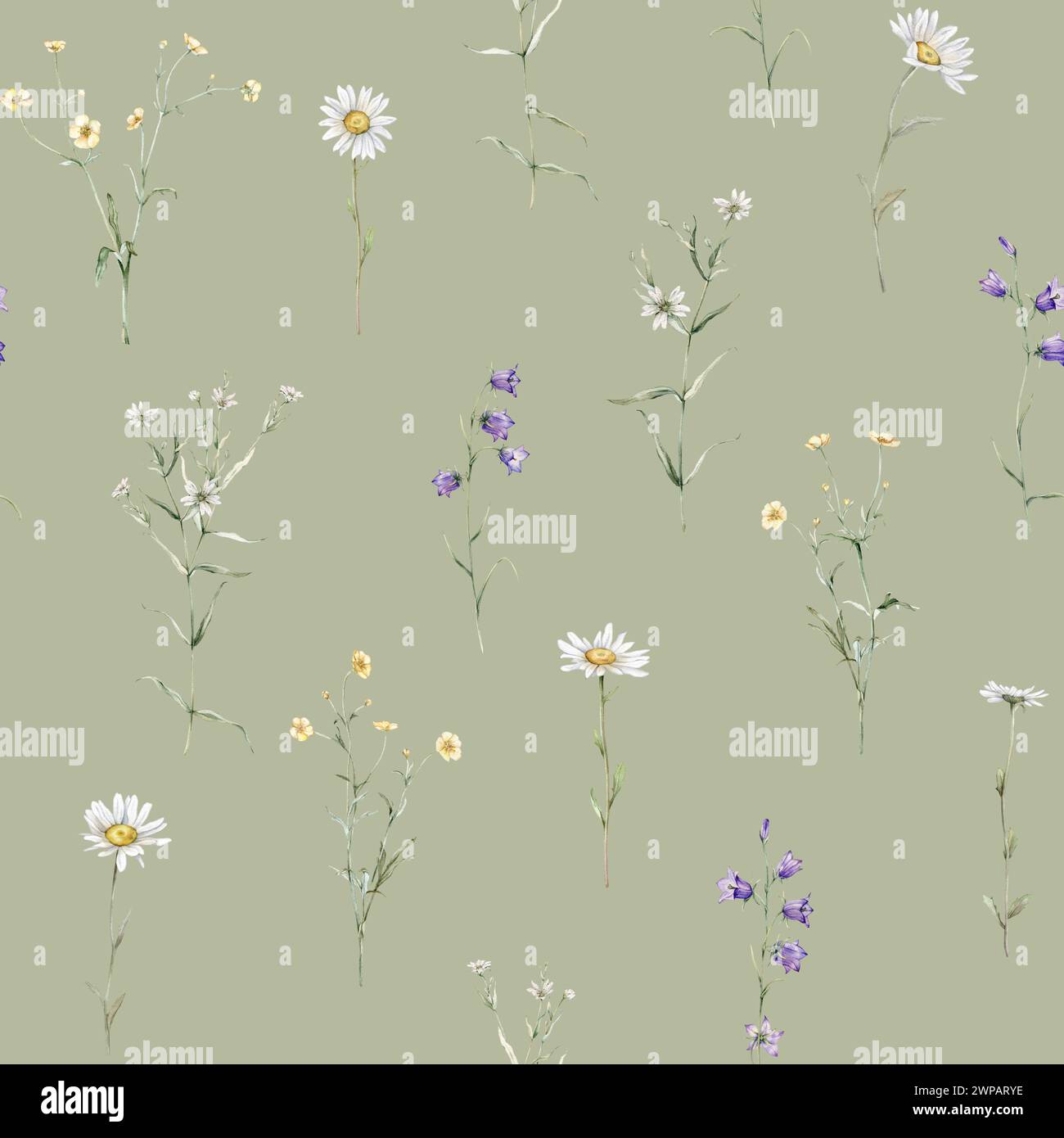 Seamless pattern watercolor meadow flower with white chamomile and violet bluebell. Repeat wallpaper forest flower yellow ranunculus. Hand drawn Stock Photo