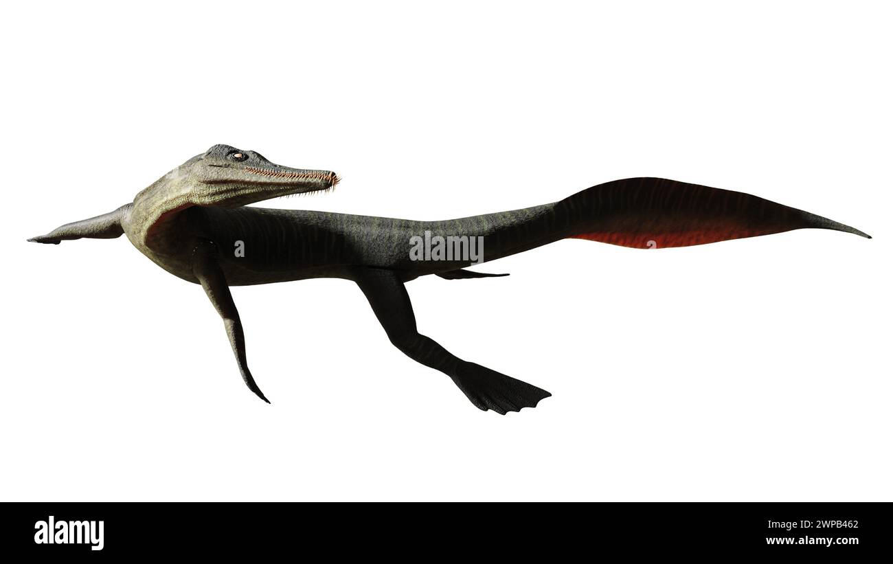 Extinct genus of marine squamate reptile from the Late Cretaceous Stock Photo