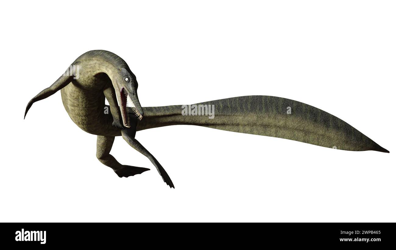 Extinct genus of marine squamate reptile from the Late Cretaceous Stock Photo