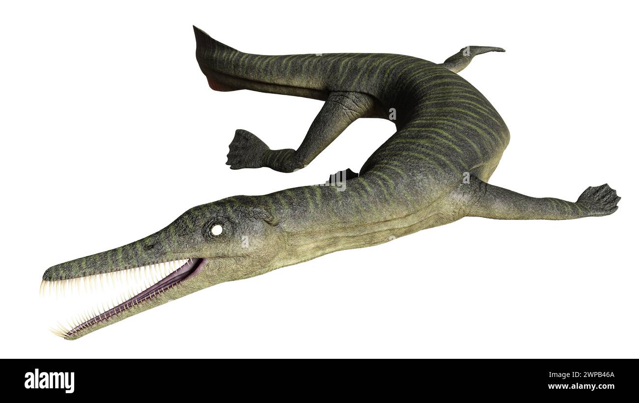 Extinct genus of marine squamate reptile from the Late Cretaceous Stock Photo