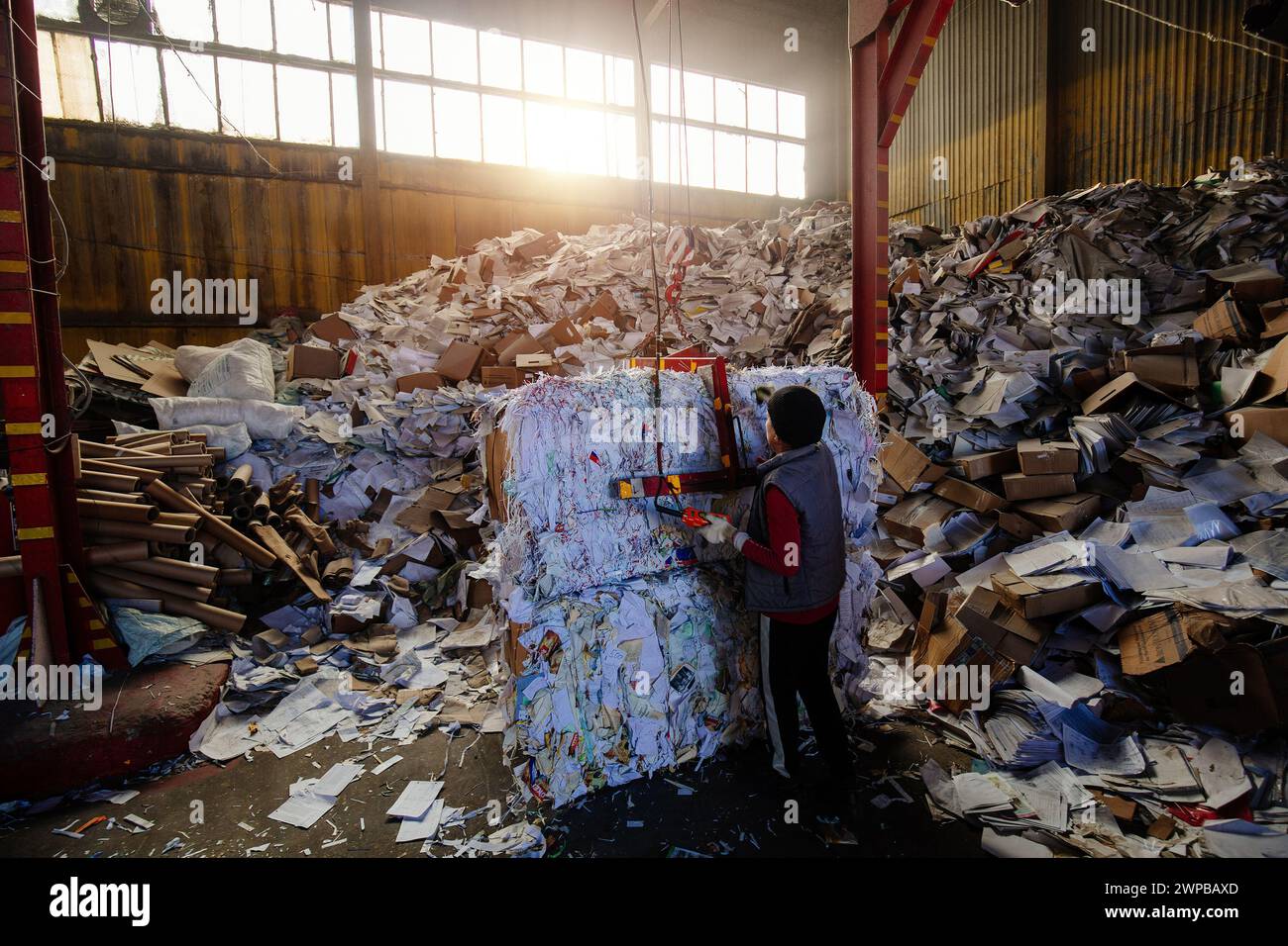 Worker packing paper at wastepaper recycling factory. Stock Photo